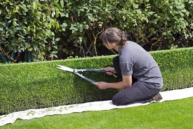 Jardineria